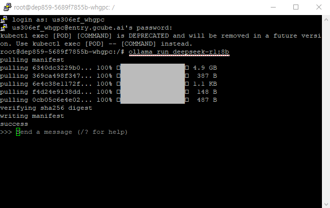 gcube 가이드 DeepSeek 실행 화면.PNG
