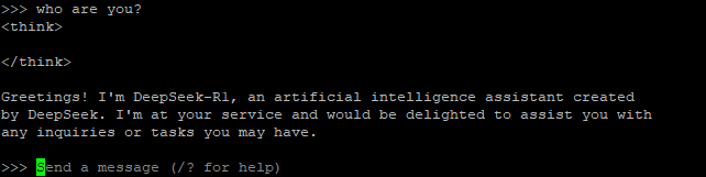 gcube 가이드 DeepSeek 실행 화면2.PNG