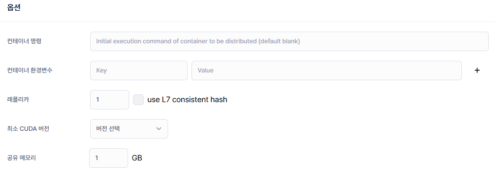 ollama 워크로드 이미지 옵션.PNG