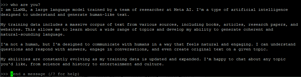 ollama 워크로드 이미지 llama3 실행 화면.PNG