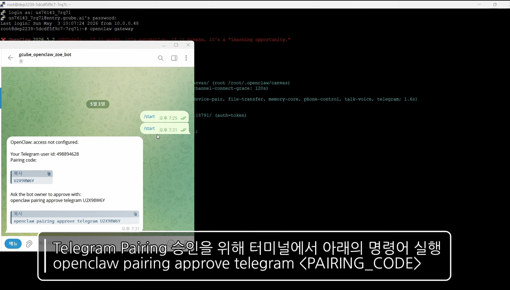 Telegram Pairing