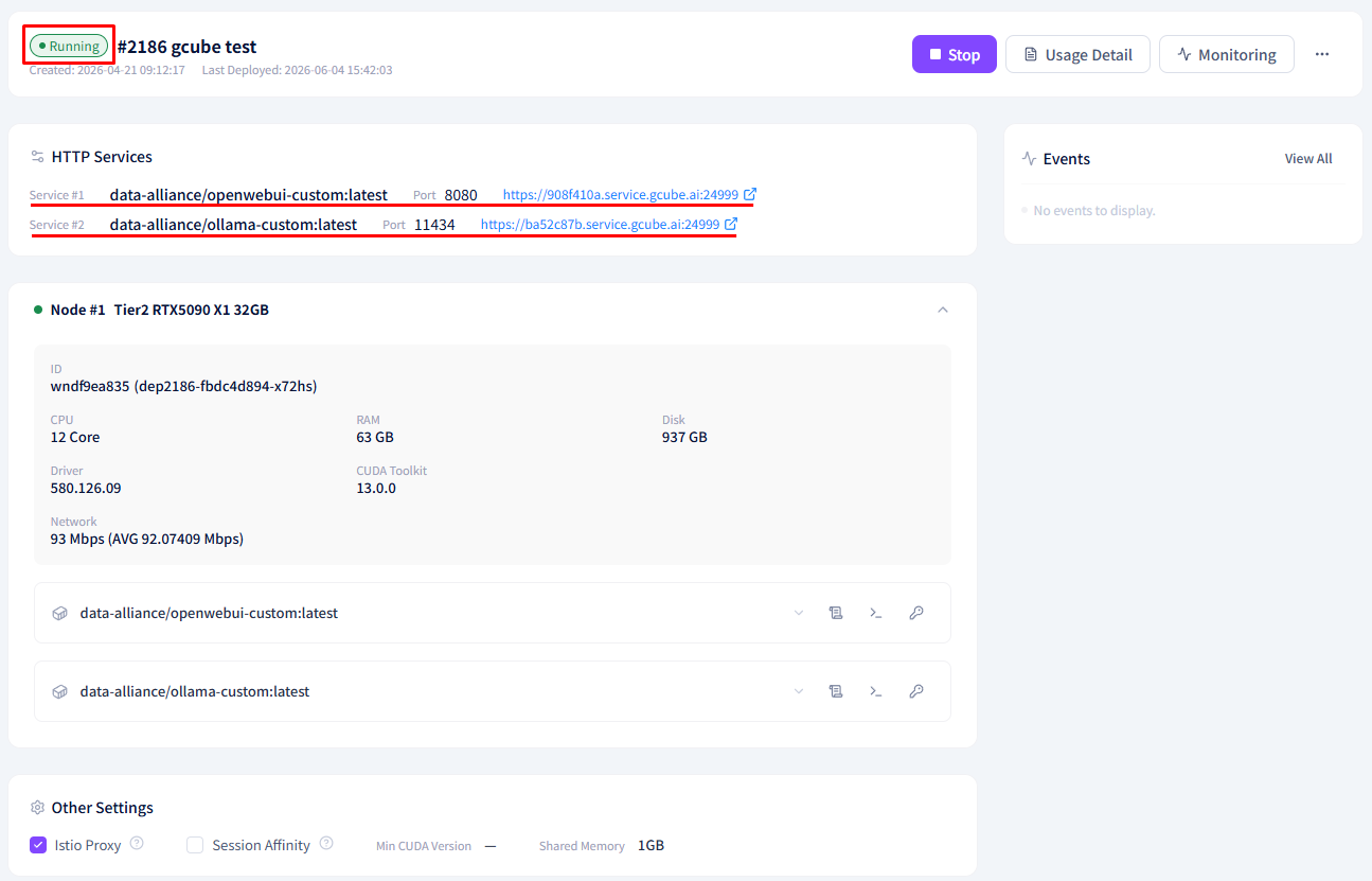Screenshot: Deployment status tab — container running confirmation