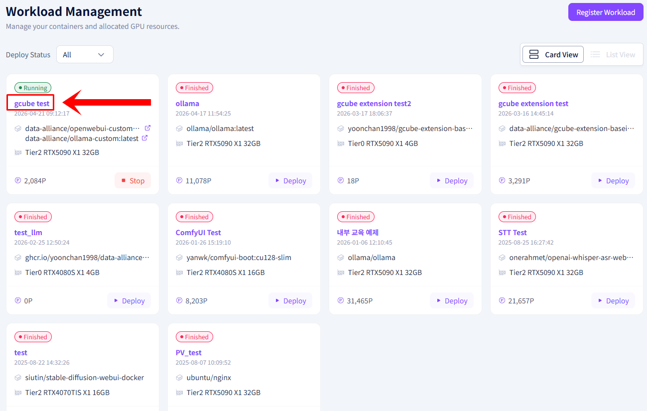 Screenshot: Workload detail screen